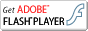 Download Flash Player